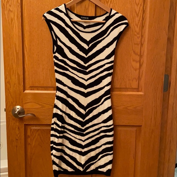 Express Tank Style Sweater Dress Zebra Print - XS - Picture 4 of 5